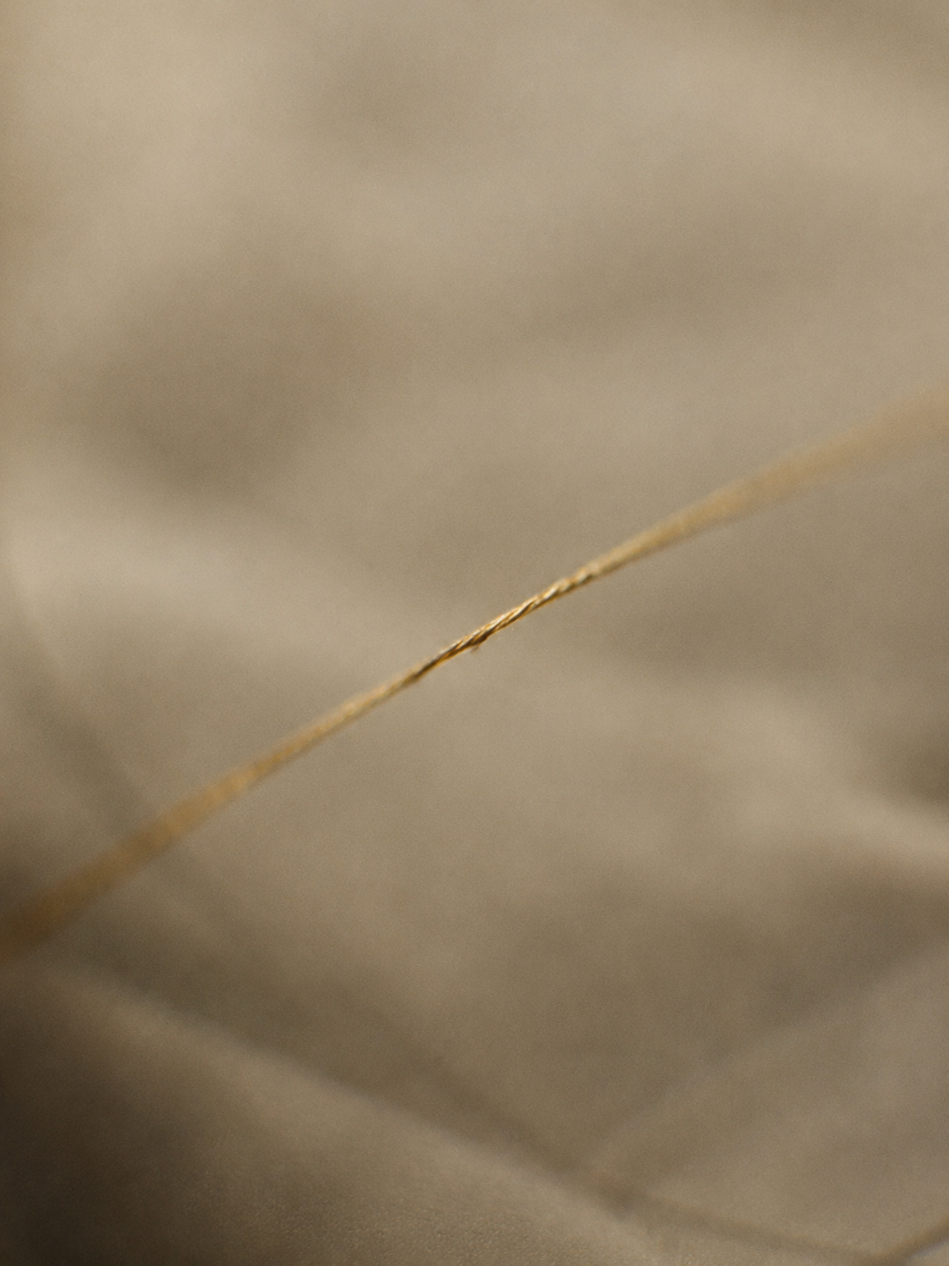 A single golden thread catching the light against soft linen